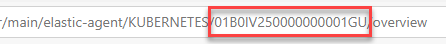 An elastic runtime environment's identifier in the browser's address bar.
