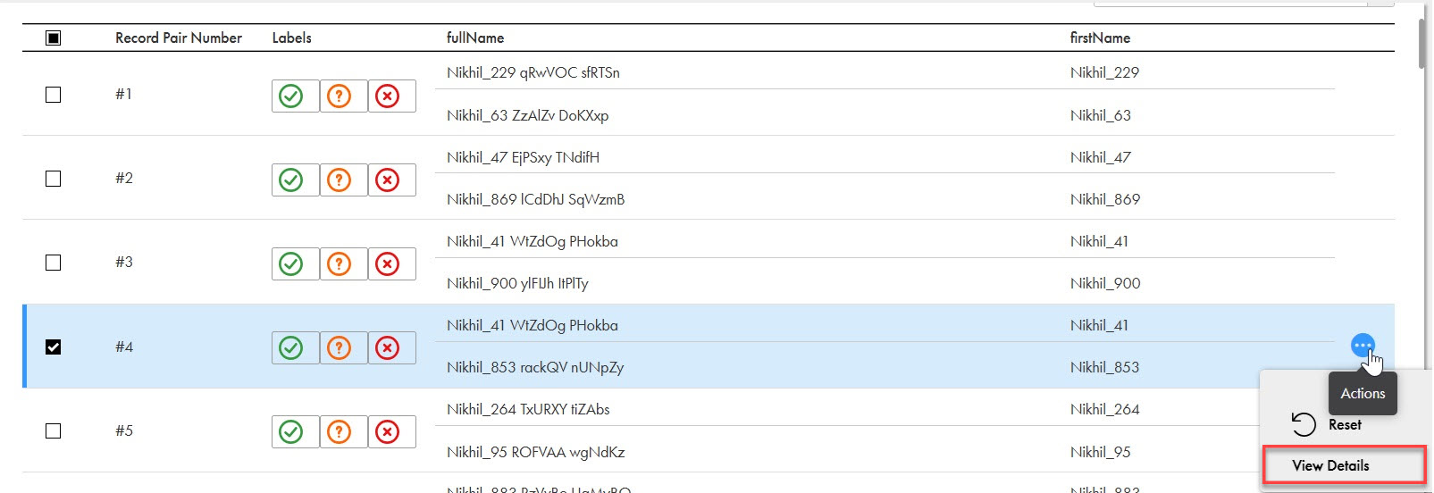 The image shows a record pair selected on the Adaptive AI model training page to view its details.
