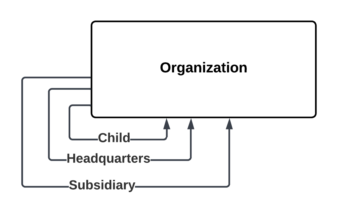 The image shows Child, Headquarters, and Subsidary relationships between Organization business entity records.