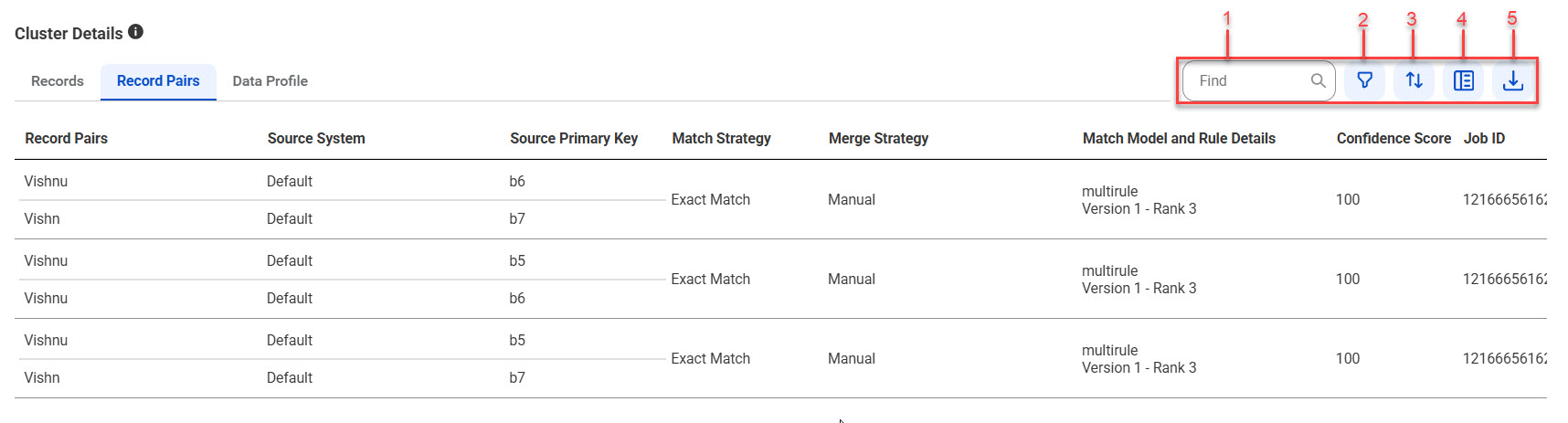 The Record Pairs section displays the record pair details of the selected cluster and provides options, such as find, filter, sort, show additional details, and export.