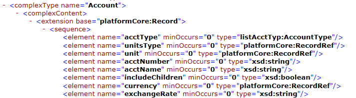 The NetSuite schema includes the Account schema type which includes the acctName field. The Account record is listed in the schema and includes the name field.