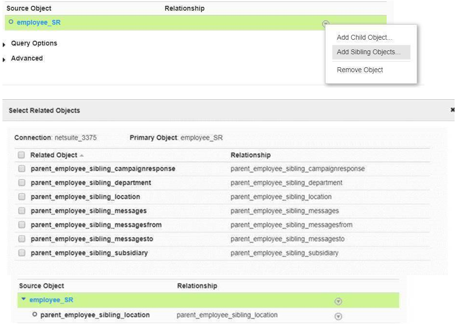 The image shows sibling objects for a NetSuite V2 source.