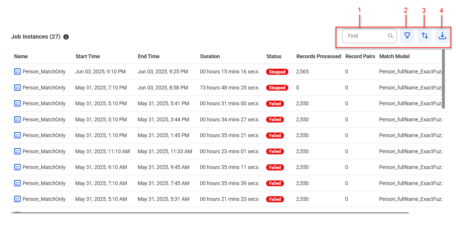 The Job Instances section displays details of the jobs that ran for a business entity.