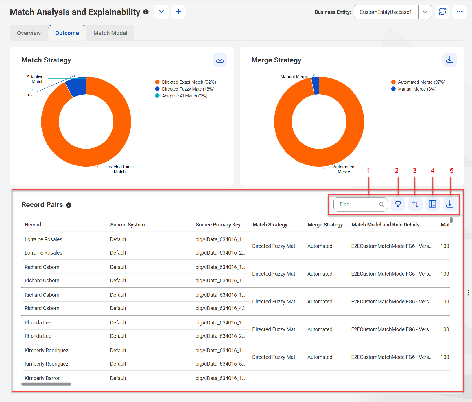 The Record Pairs section shows the record pair details based on the match and strategies, and the options such as find, filter, sort, show additional details, and export data are highlighted.