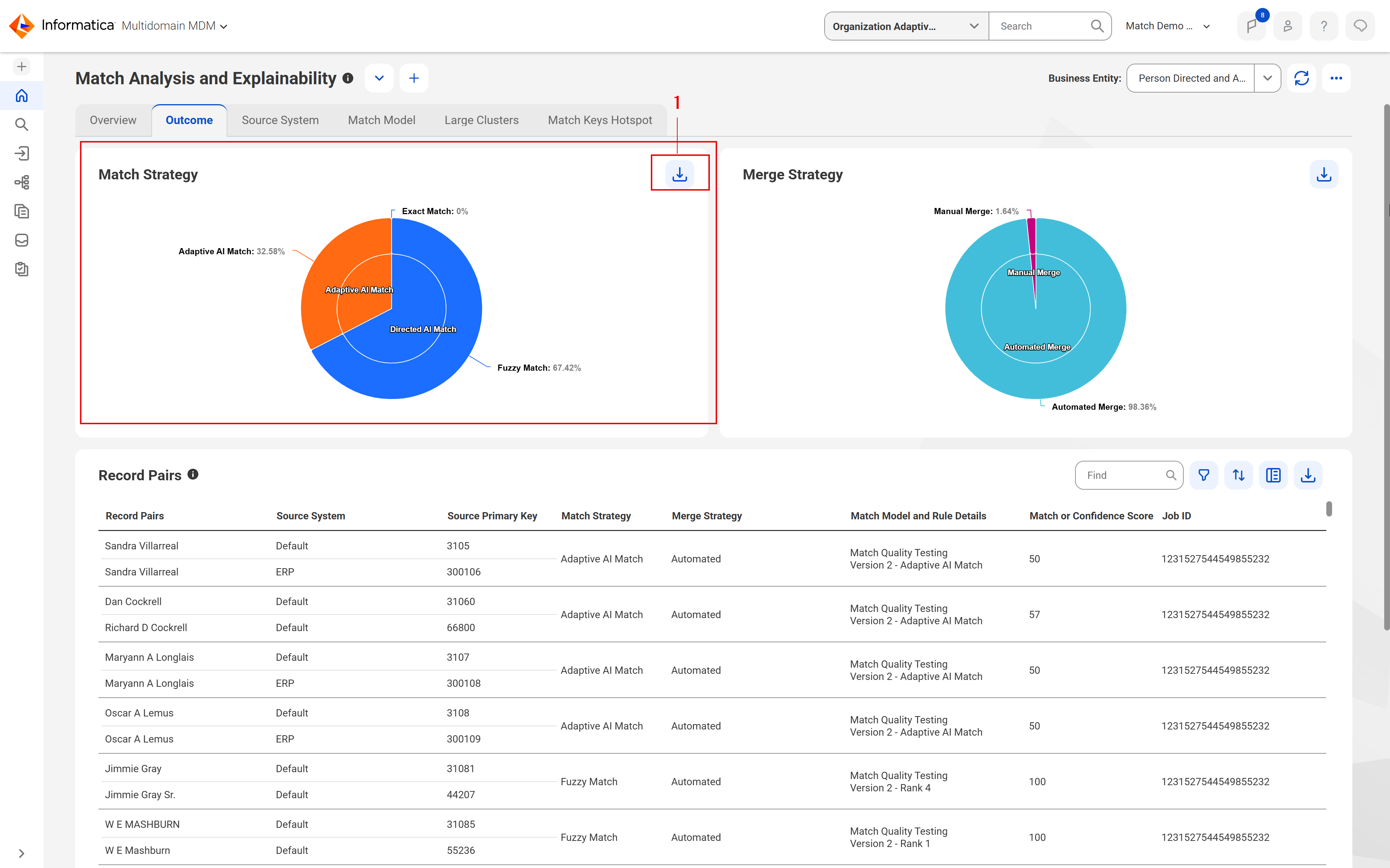 The Match Strategy section shows a pie chart that displays the percentages od record pairs for Directed Exact Match, Directed Fuzzy Match, and Adaptive AI Match. The Record Pairs section lists records based on the Directed Exact Match strategy.