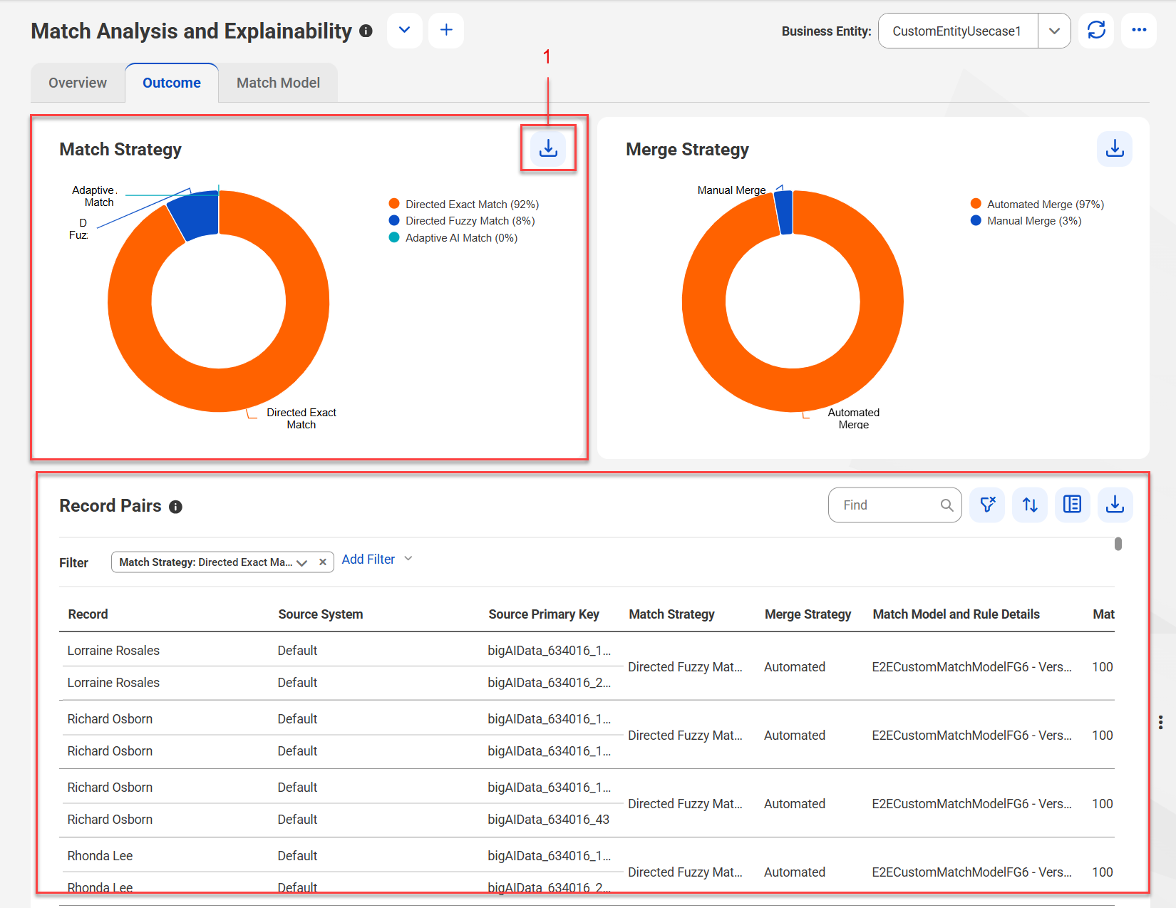 The Match Strategy section shows a pie chart that displays the percentage of record pairs matched by directed exact match and fuzzy match. The Record Pairs section shows the matched record pairs generated based on the directed exact match strategy.