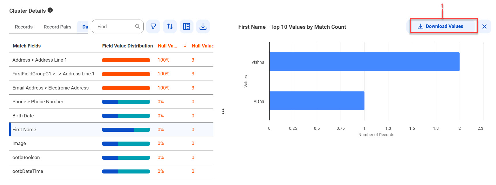 The First Name – Top 10 Values by Match Count section displays the top 10 field values of the First Name field that matched the most records.