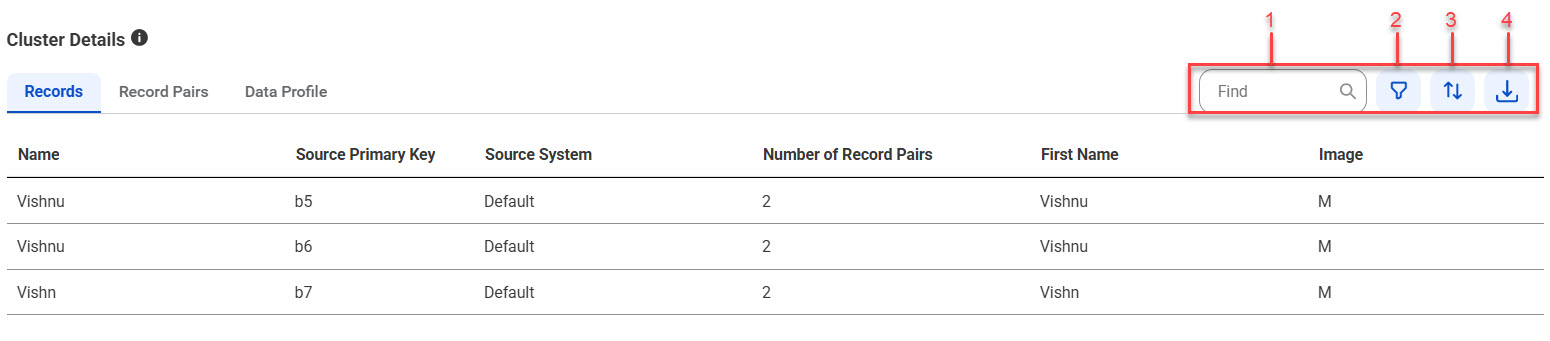 The Records section displays the total number of source records in a cluster and details, such as Name, Source Primary Key, Source System, and Number of Record Pairs. Additionally, you can also view match fields, such as First Name, Image, and Phone Number, used for matching.