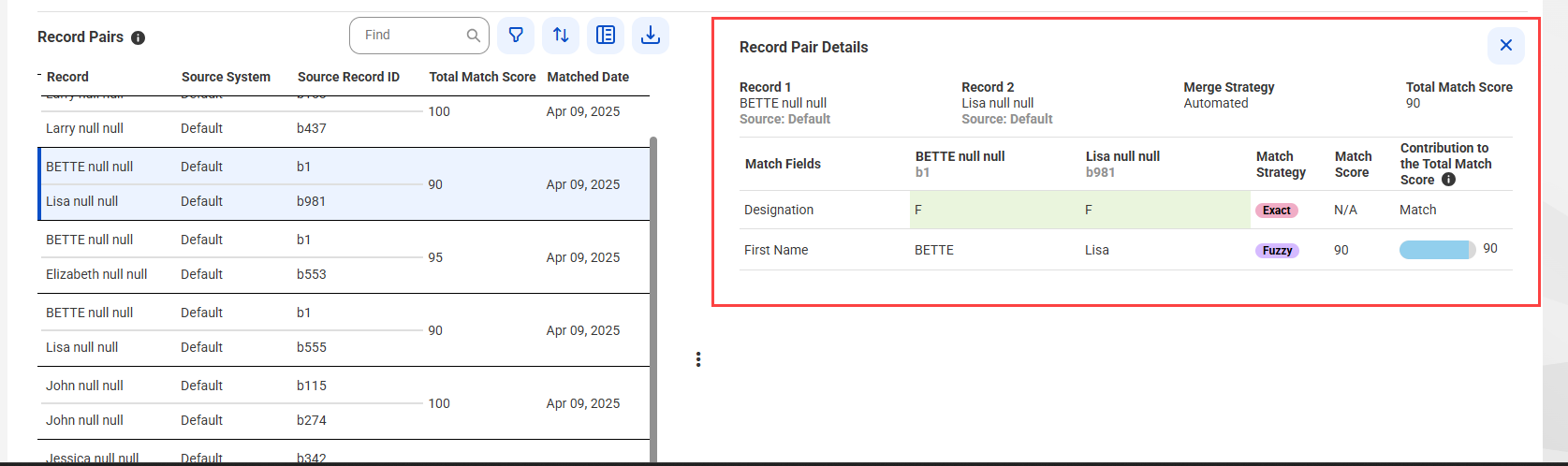 The Match Analysis and Explainability dashboard displays the Record Pair Details section that shows the details of a record pair.