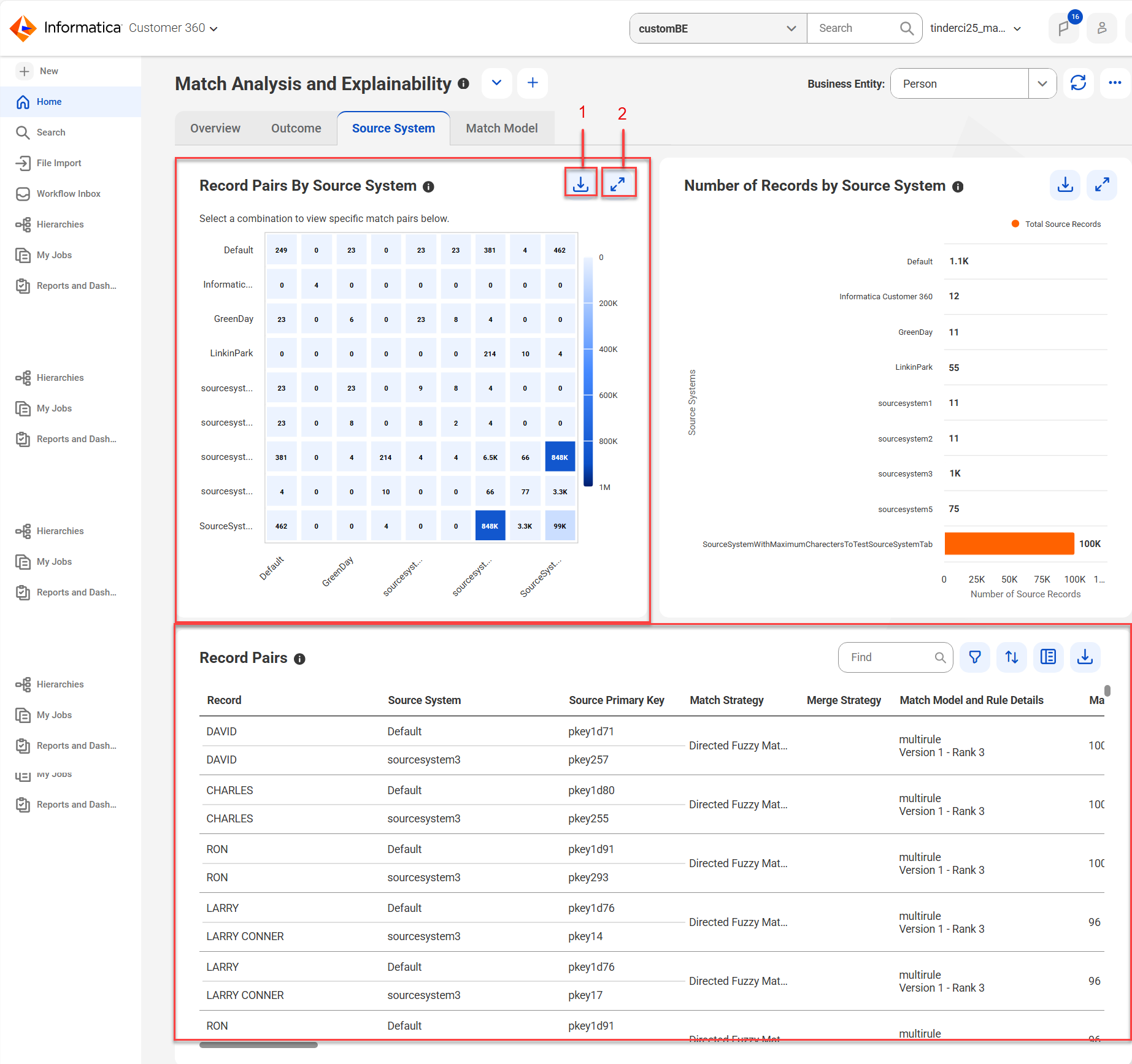 The Source System tab shows a heat map that displays the distribution of record pairs across source systems. The Record Pairs section shows the details of record pairs contributed by the selected source systems.