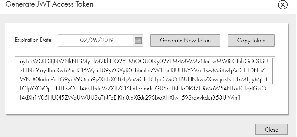 The image shows a generated token.