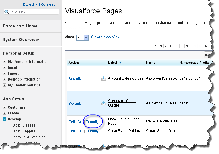 Visualforce Page, Security highlighted