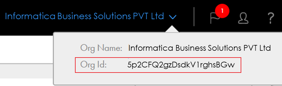 The image shows the Informatica Organization ID.