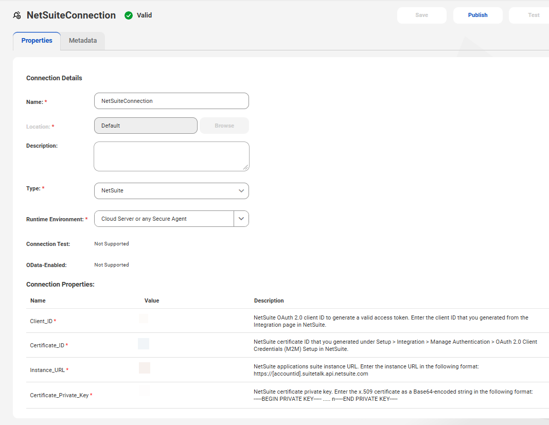 This image shows the NetSuite connection.
