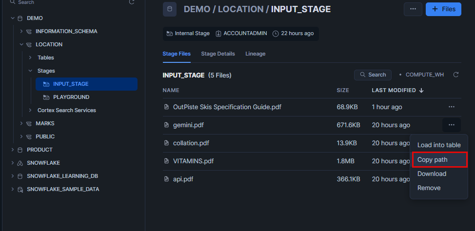 This image shows the stage files and an option to copy the file path.