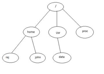 The image shows a sample directory structure.