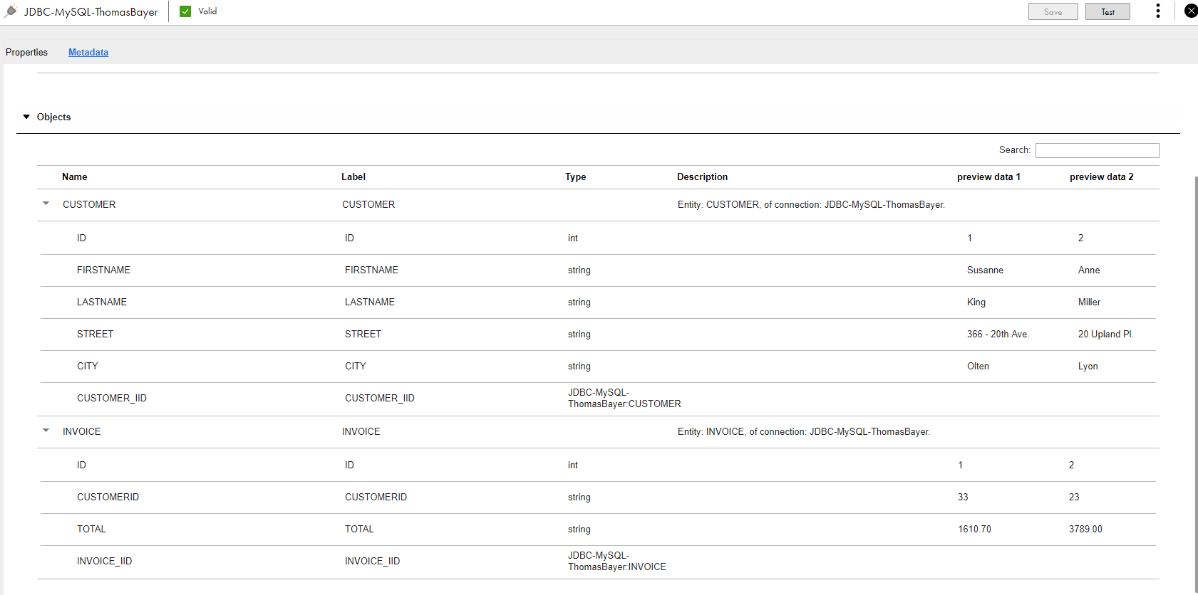 The image shows two entities named Customer and Invoice along with the column metadata and data.