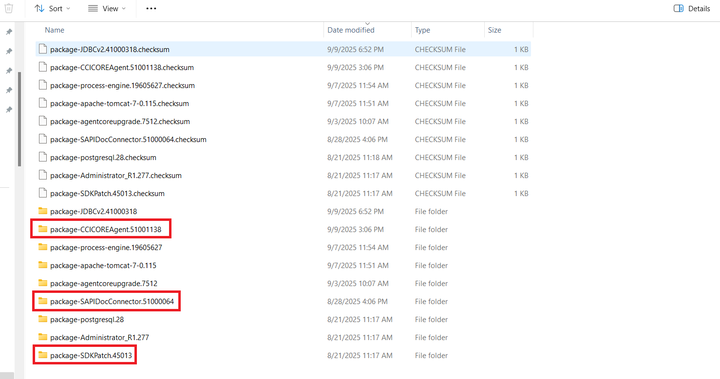 The SAP libraries available on the agent.