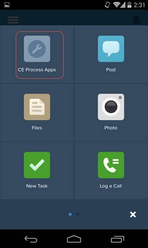 スマートフォン内のVisualforceページ