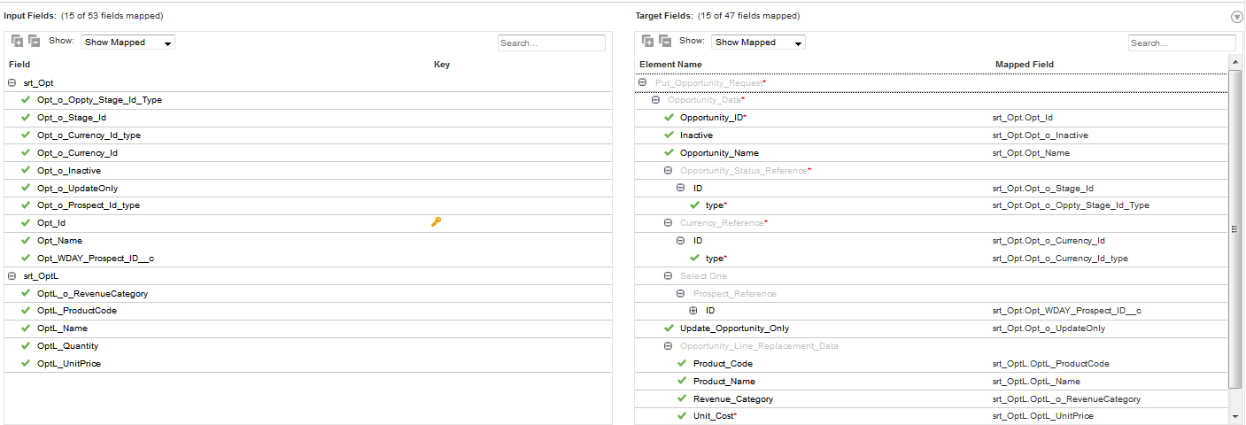 You can view the mapped fields between the Salesforce source and the Workday target.