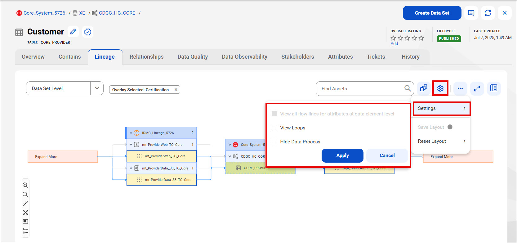 The Lineage page for an asset highlights the Settings menu with options such as View all flow lines for attributes at data element level, View Loops, and Hide Data Process.