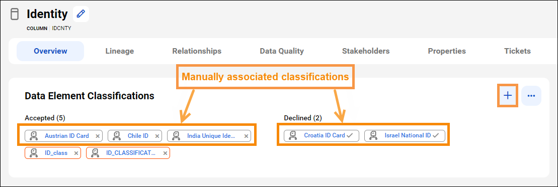 Image of the Data Elements Classifications panel with the add icon and the manually added data classifications.