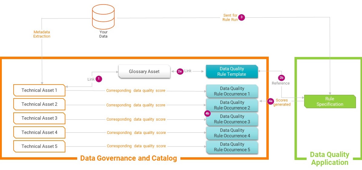 Image depicting the entire data quality rule automation process.