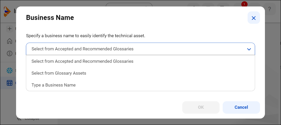 Image depicting the Business Name dialog box showing the options for assigning business names manually.