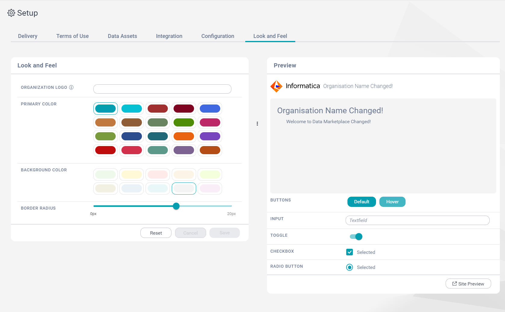 Image depicting the Look and Feel tab on the Setup page.
