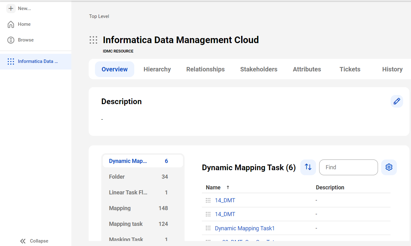 The image shows a sample Informatica Data Management Cloud asset page with tabs that allow you to view the asset.