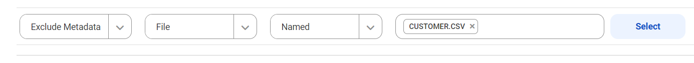 The image shoes a profile filter condition that does not run a profile on the metadata extracted from the CUSTOMER.CSV file: