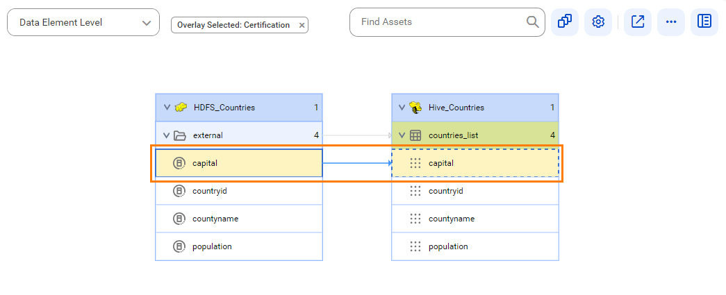The data element level lineage diagram shows the lineage where the capital column gets data from the capital data element of the Oracle source system after connection assignment.