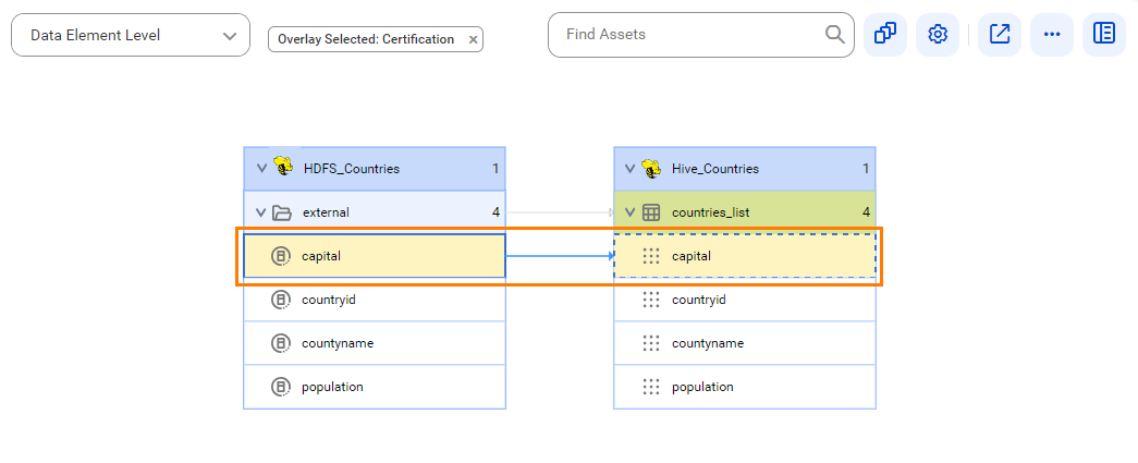 The data element level lineage diagram shows the lineage where the capital column gets data from the capital data element of the Oracle source system before connection assignment.