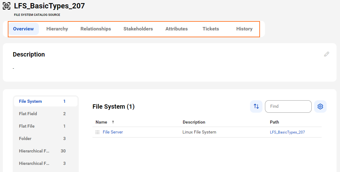 The image shows a sample File System asset page with tabs that allow you to view the asset.