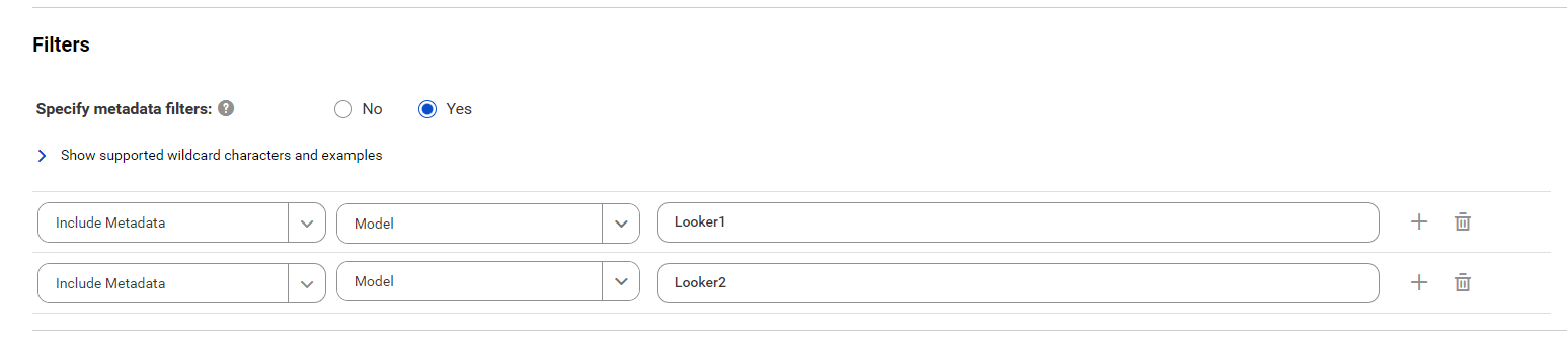 The image shows the Filters section of the Google Looker catalog source configuration. You can click the Add icon to add more filters.