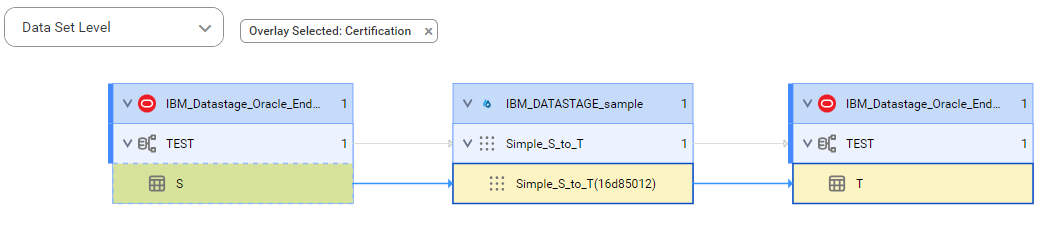 The data set level lineage diagram starts at the S source table and shows how the data flows to the target T table after connection assignment.
