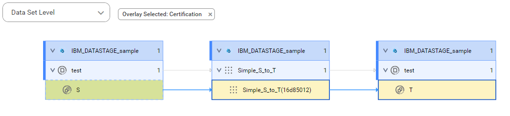 The data set level lineage diagram starts at the S source table and shows how the data flows to the target T table before connection assignment.