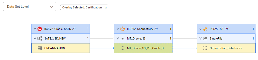 The data set level lineage diagram starts at the ORGANIZATION source table and shows how the data flows to the target Organization_Details.csv file after connection assignment.