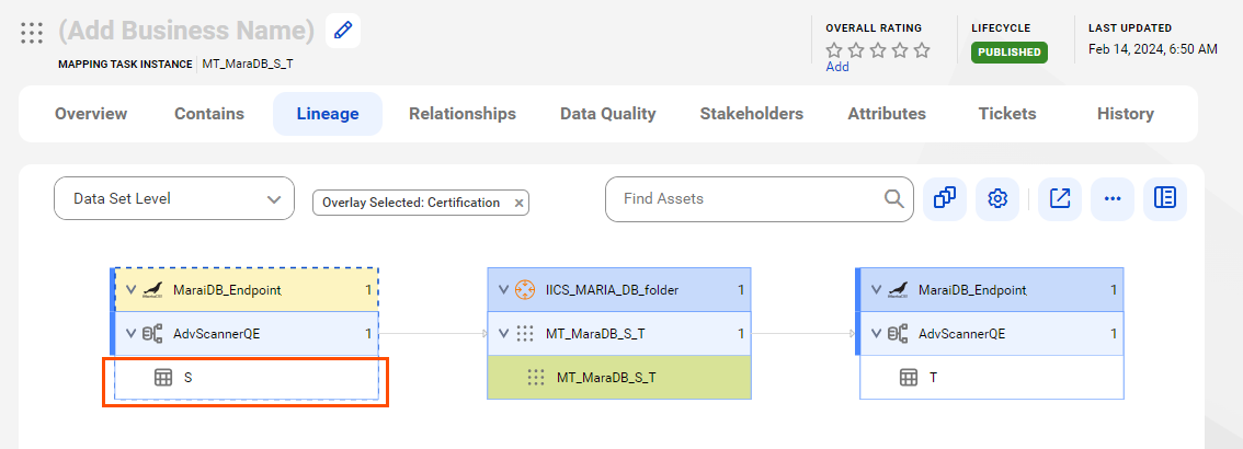 The lineage diagram starts at the S source table and provides output to the T target table.