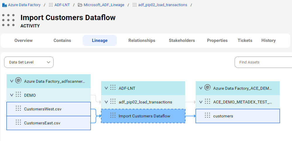The data set level lineage diagram shows how the Import Customers Dataflow activity gets data from two different data sets, contained in .csv files.