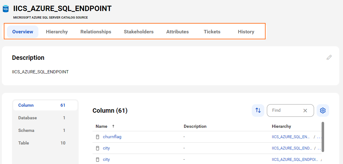 The image shows a sample Microsoft Azure SQL Server asset page with tabs that allow you to view the asset.