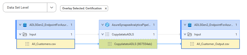 The data set level lineage diagram starts at the All_Customers.csv source file and shows how the data flows to the target All_Customer_Output.csv file after connection assignment.