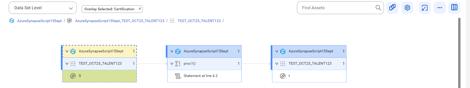 The data set level lineage diagram starts at the S table and provides output to the t reference table before connection assignment.