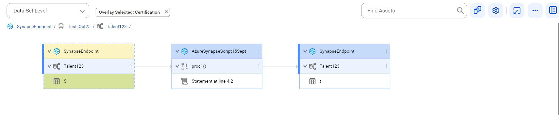The data set level lineage diagram starts at the S table and provides output to the t table after connection assignment.