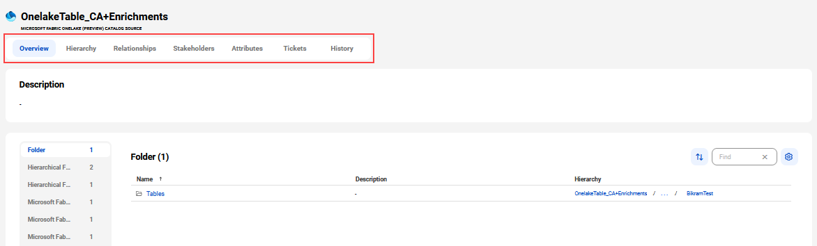 The image shows a sample Microsoft Fabric OneLake asset page with tabs that allow you to view the asset.