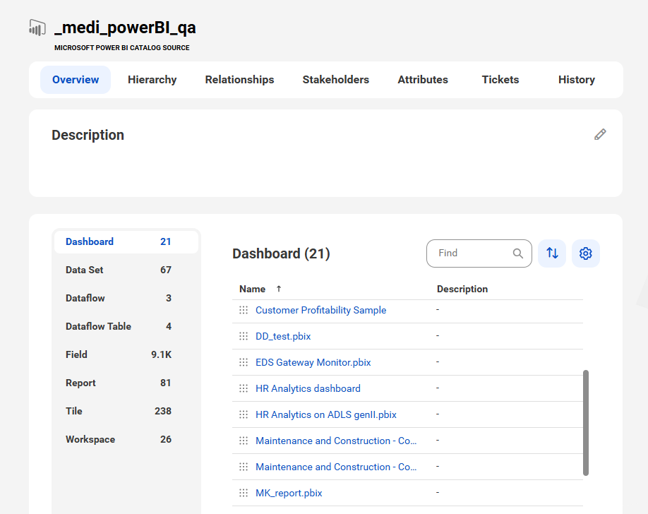 The image shows a sample Microsoft Power BI asset page with tabs that allow you to view the asset.