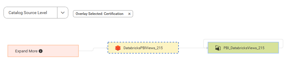 The lineage diagram shows how the PBI_DatabricksViews_215 catalog source gets data from the DatabricksPBIViews_215 catalog source after connection assignment.