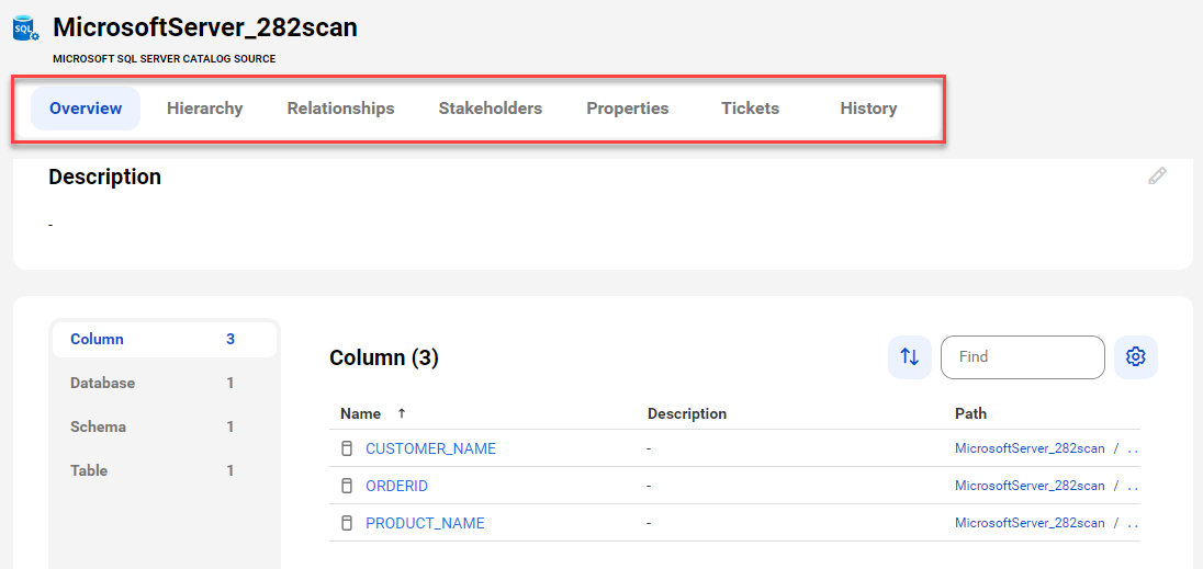 The image shows a sample Microsoft SQL Server asset page with tabs that allow you to view the asset.