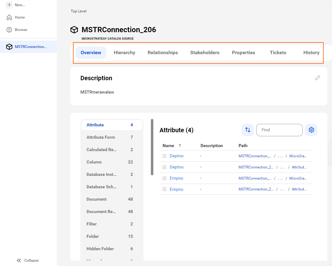 A sample MicroStrategy asset page with tabs that allow you to view the asset.