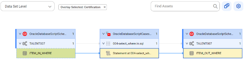 The data set level lineage diagram shows a data set level lineage that gets data from the ITEM_IN_WHERE table and inserts it into the ITEM_OUT_WHERE table after connection assignment.